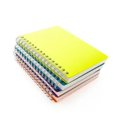 Diaries & notebooks